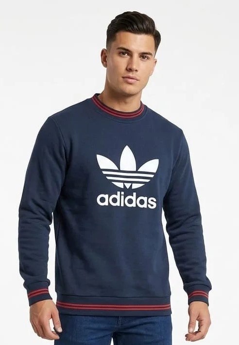 Mens sweatshirt Blue for Top Wear online India