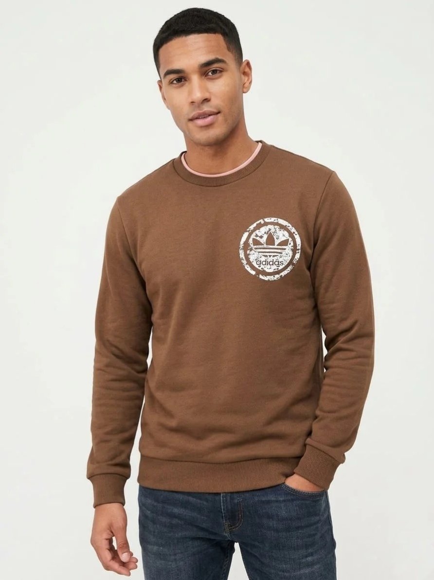 Mens sweatshirts brown