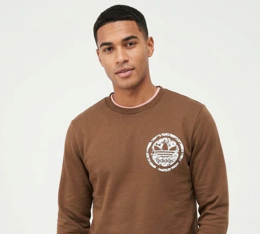 Mens sweatshirts brown for Top Wear online India